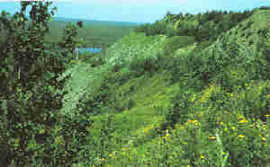 Mine reclamation: after