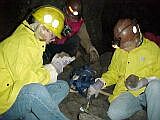 Michigan College of Mines