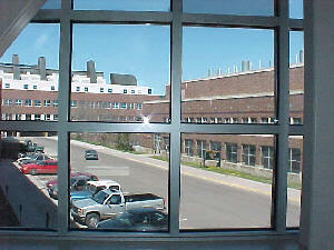 Looking out